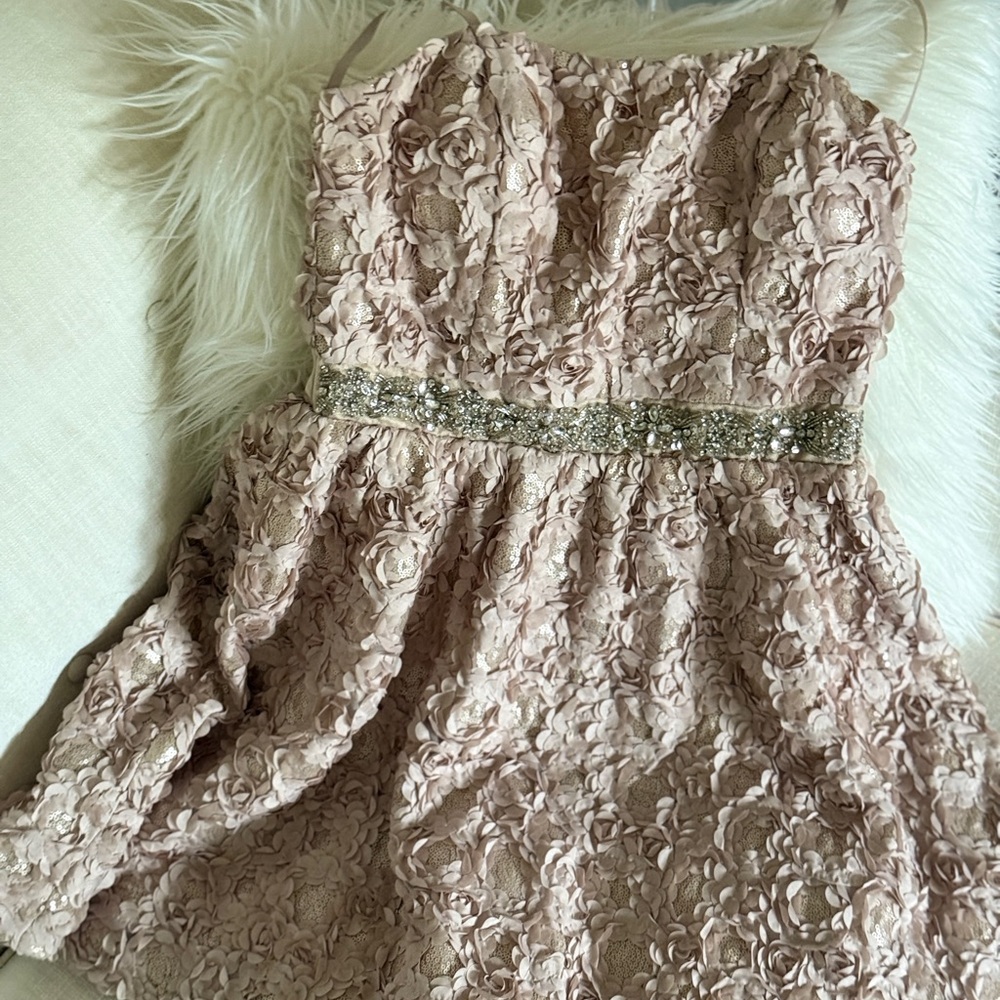 As U Wish Blush Pink Dress